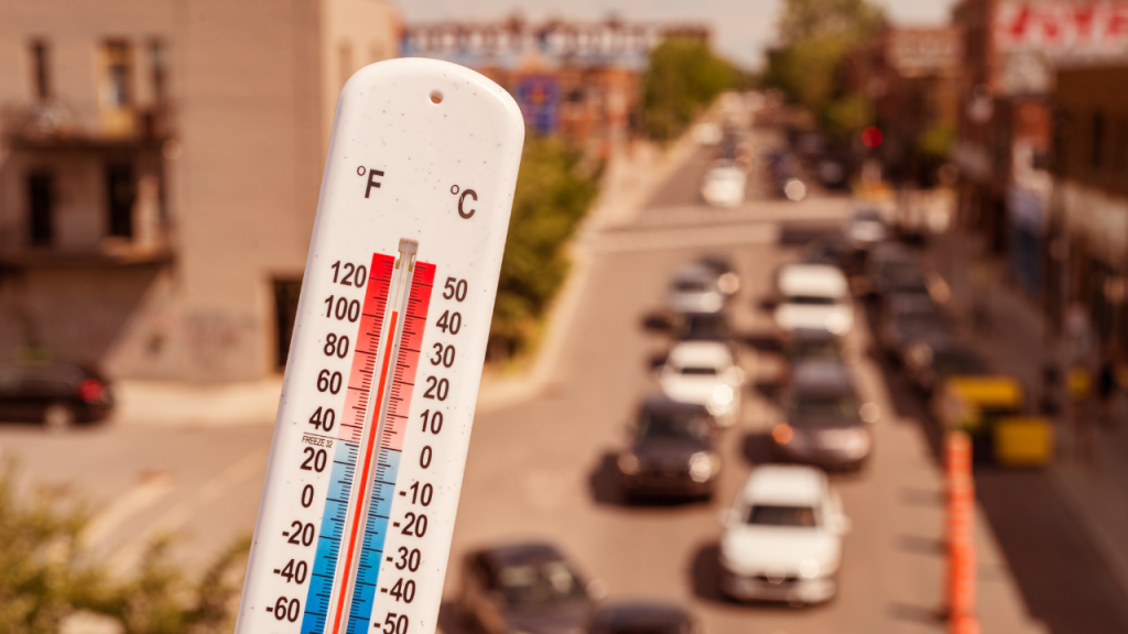 heatwave indicator. Understanding Heatwaves.