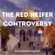 the red heifer controversy
