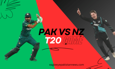 Pak vs NZ T20 series 2024, babar Azam in the image