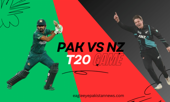 Pak vs NZ T20 series 2024, babar Azam in the image