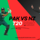 Pak vs NZ T20 series 2024, babar Azam in the image