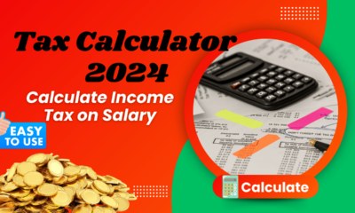 Tax Calculator 2024