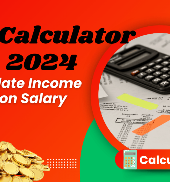 Tax Calculator 2024